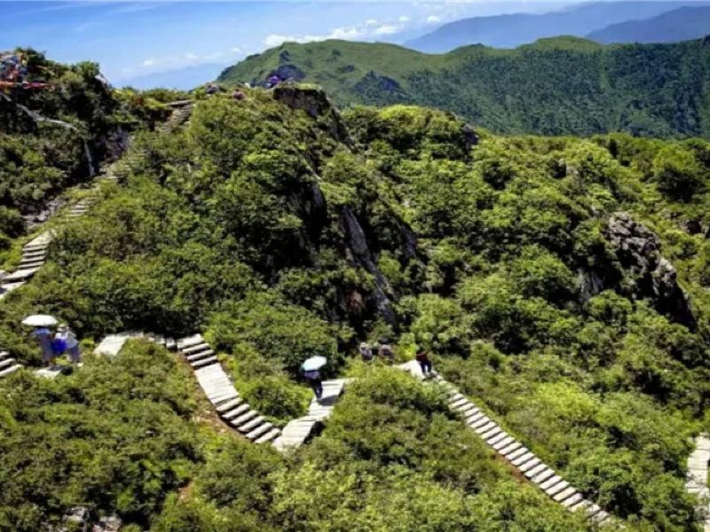 甘肃莲花山国家森林公园