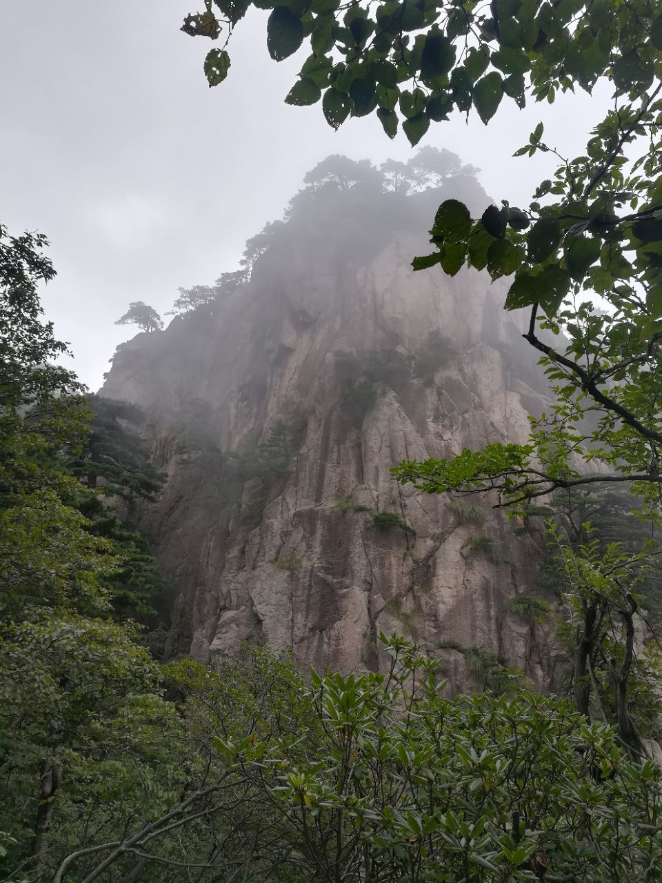 2019仙女弹琴游玩攻略,仙女弹琴,在黄山景区的西海. 【去哪儿攻略】