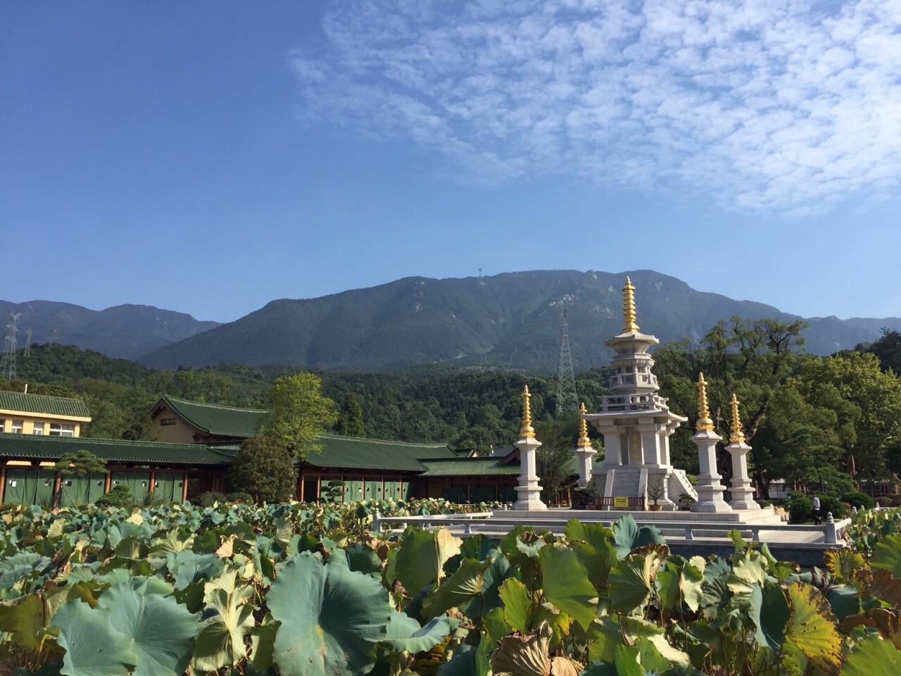 东林寺