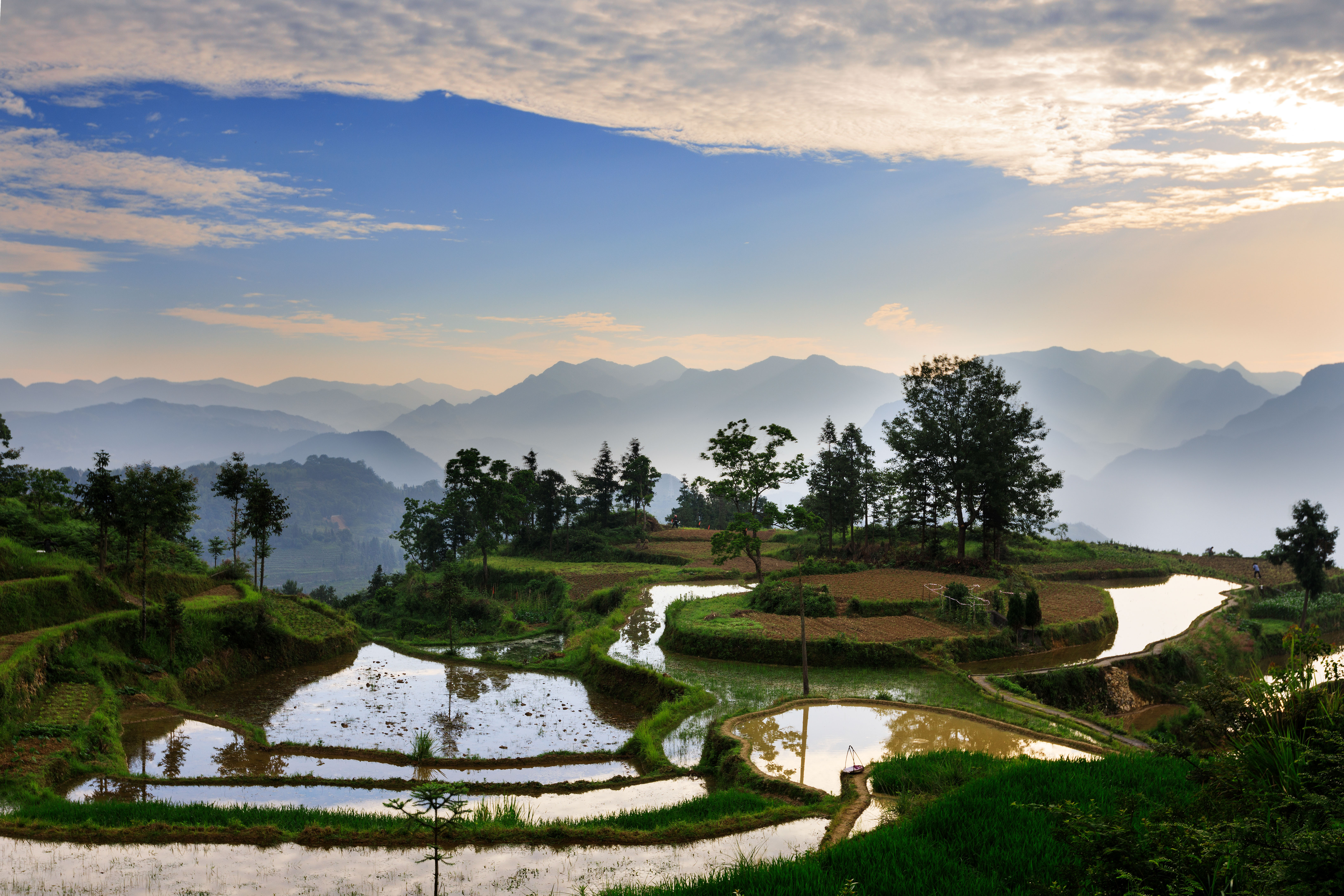 茗岙梯田