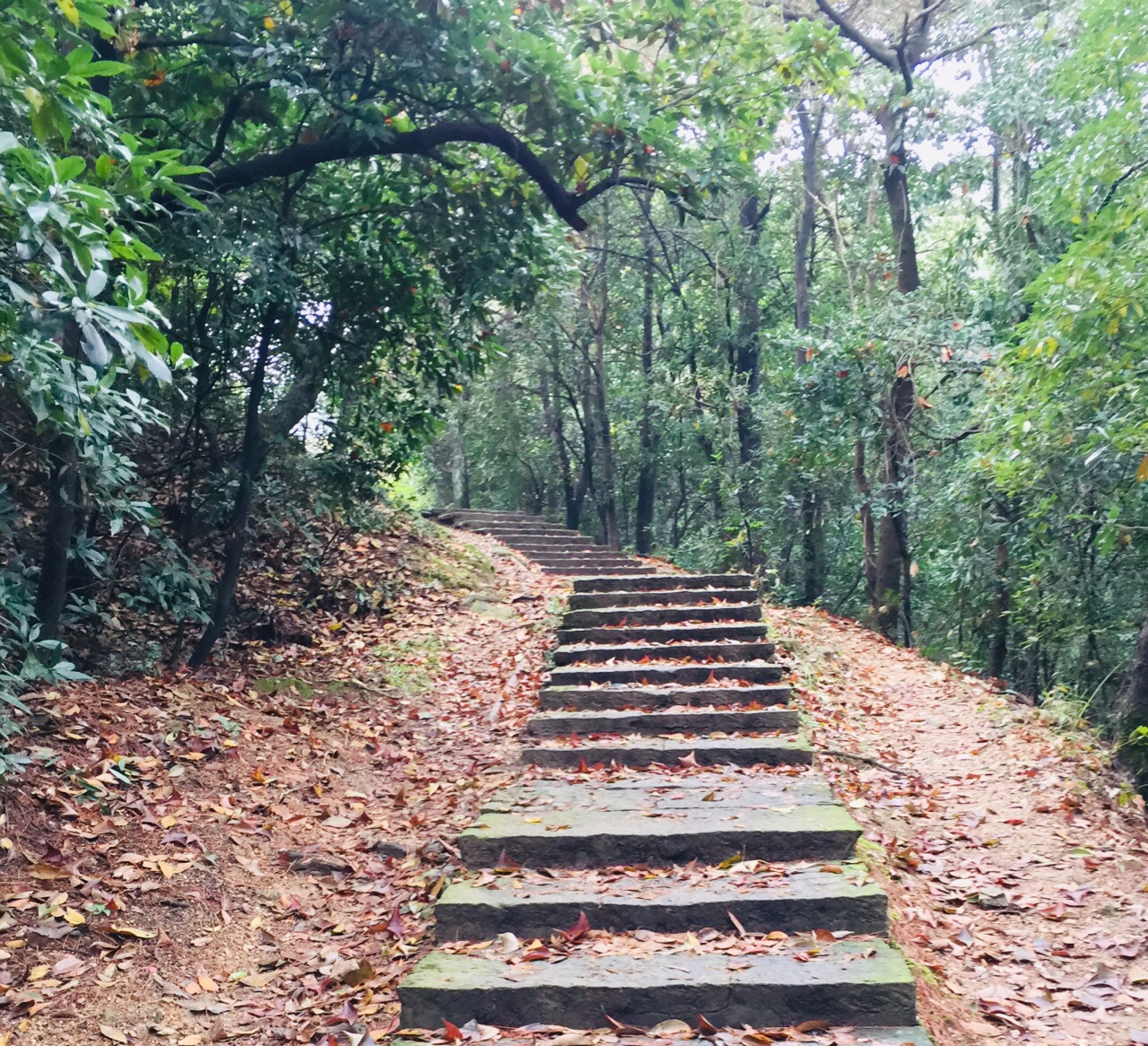 杭州十里琅珰好玩吗,杭州十里琅珰景点怎么样_点评