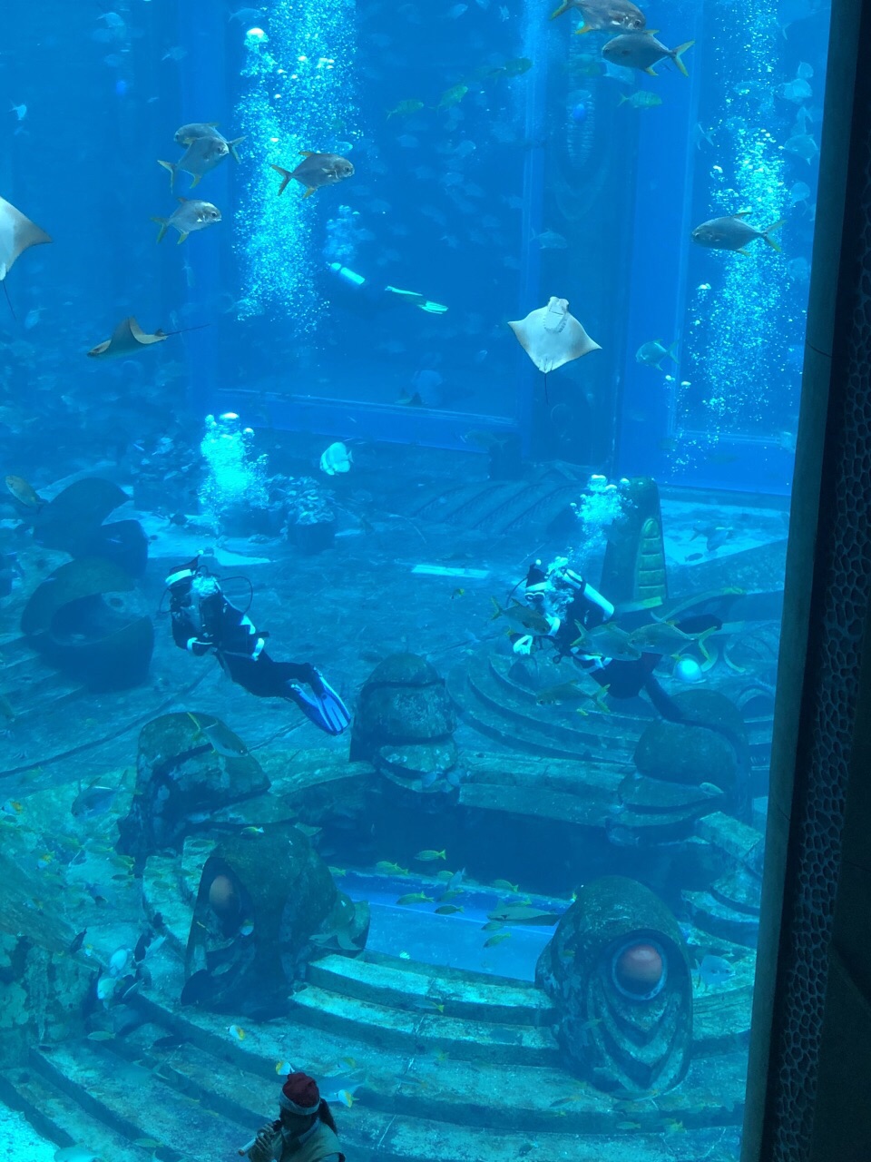 三亚亚特兰蒂斯失落的空间水族馆