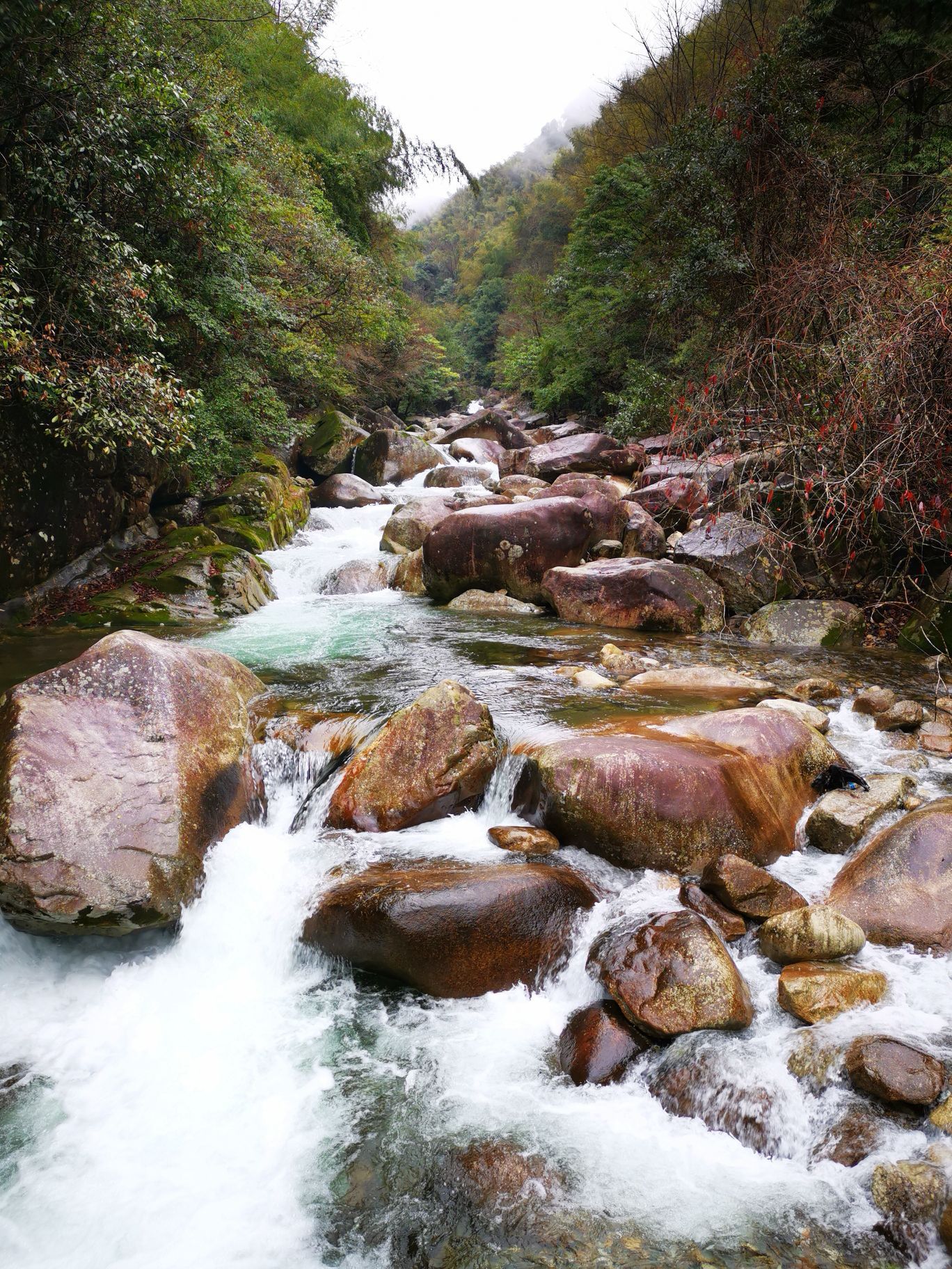 婺源大鄣山卧龙谷好玩吗,婺源大鄣山卧龙谷景点怎么样