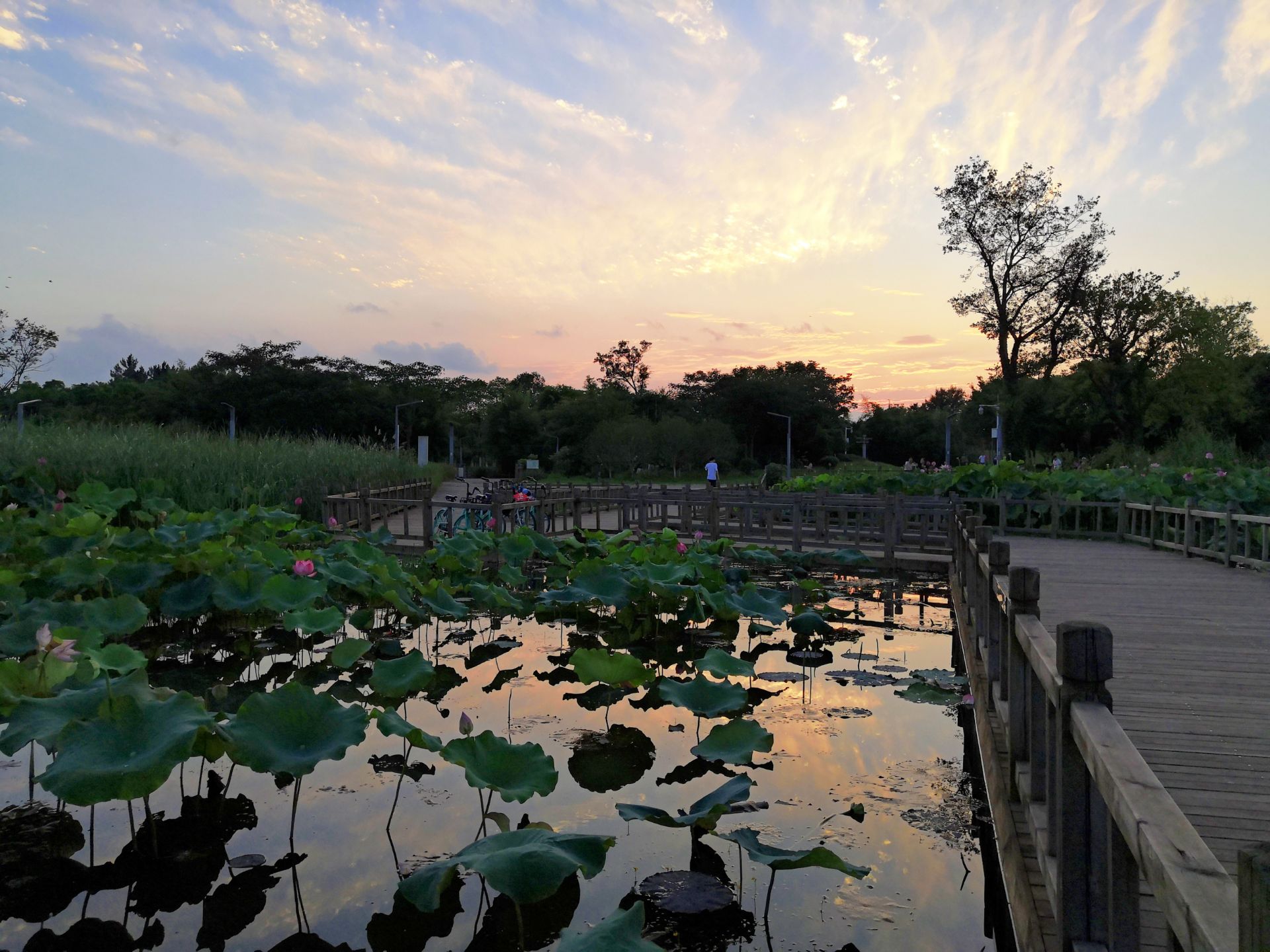 大象湖湿地公园旅游景点攻略图