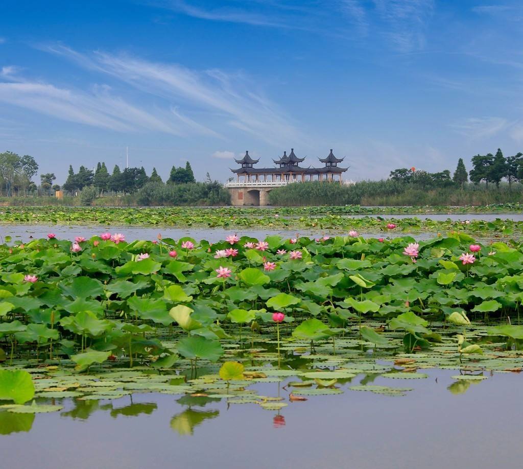 泗洪洪泽湖湿地旅游景点攻略图