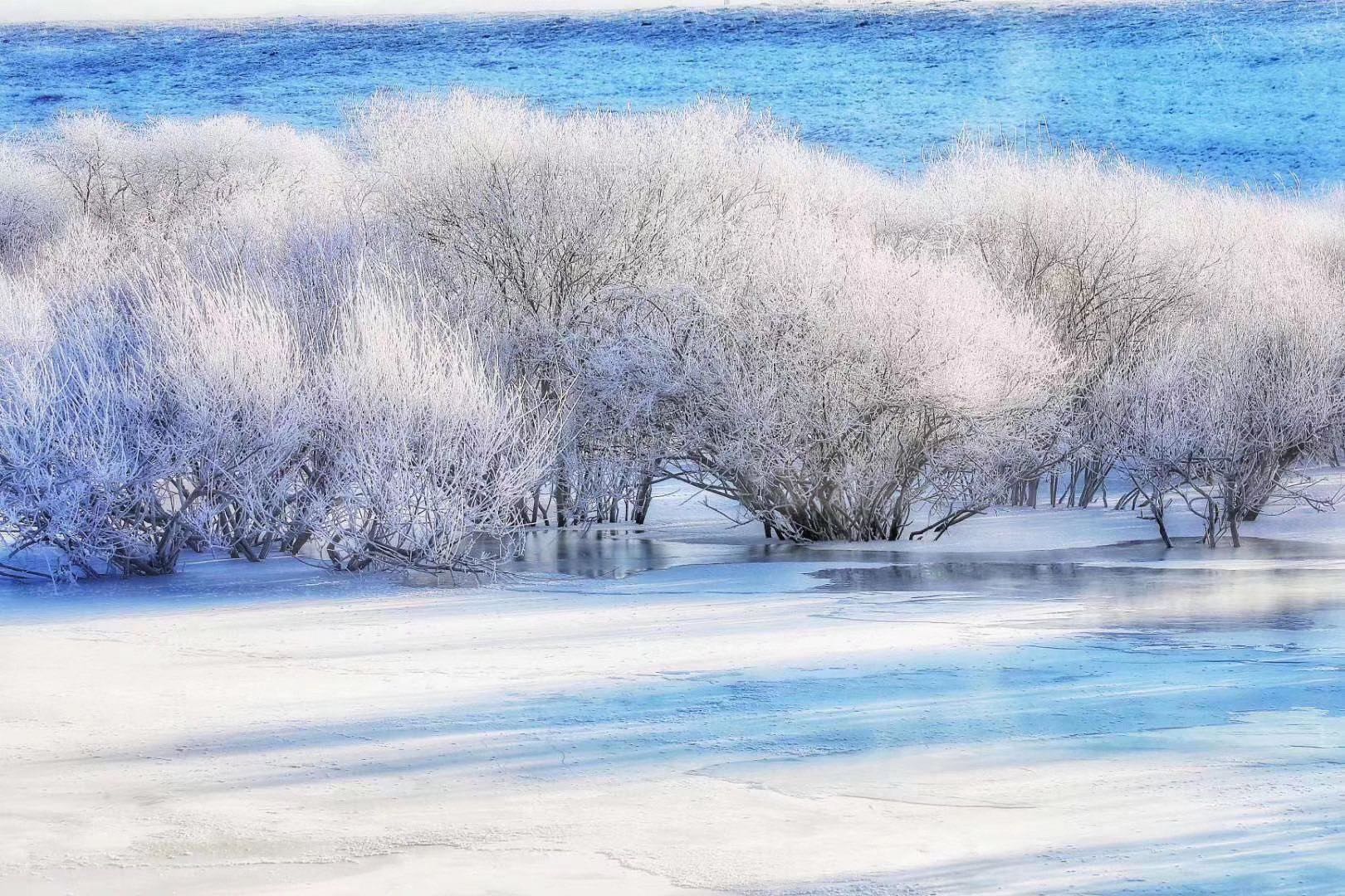 北国的雪