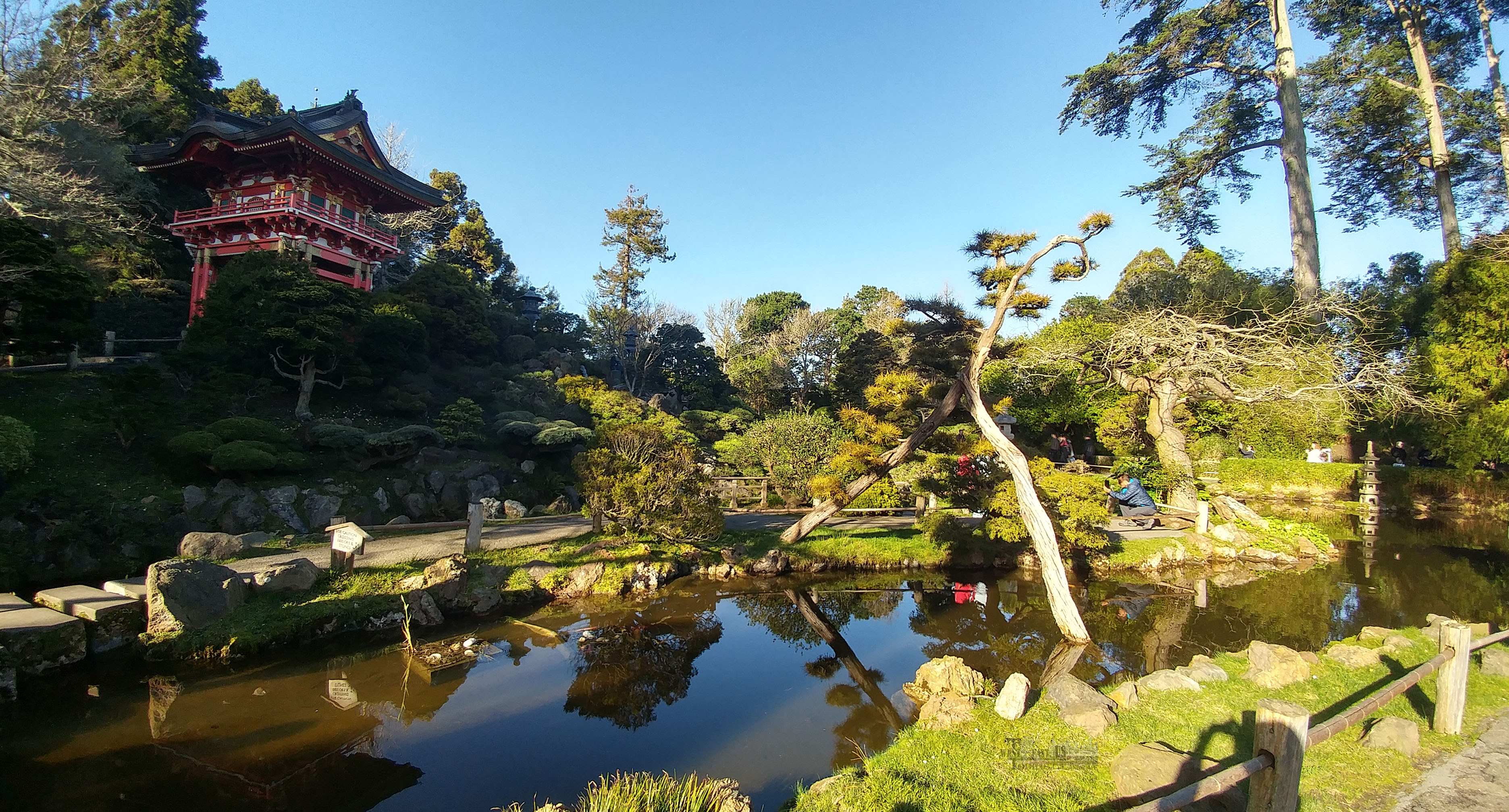 【美国旅游景观 i】旧金山 日本茶园 japanese tea garden