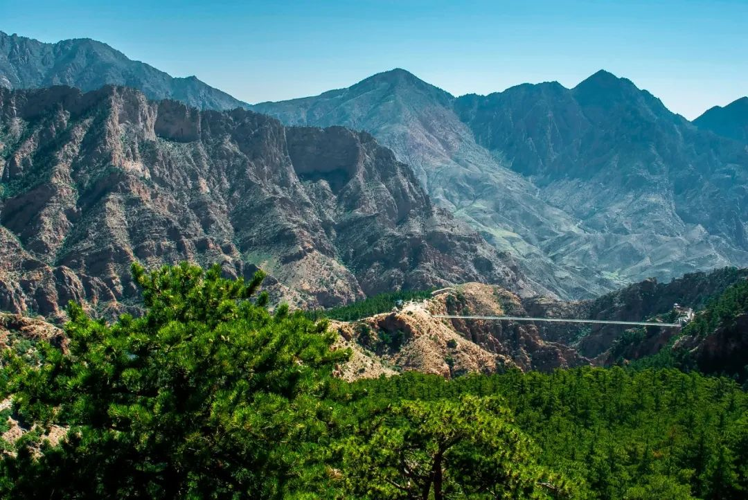 了解宁夏,从这座山的核心开始,宁夏贺兰山国家森林公园