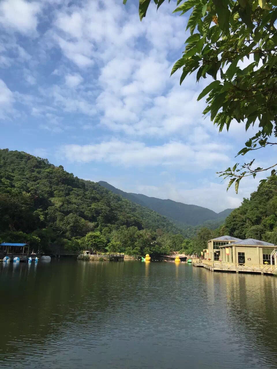 秋枫寨旅游区位于惠州博罗,景色不错,纯天然自然风景,有山有水,好风光