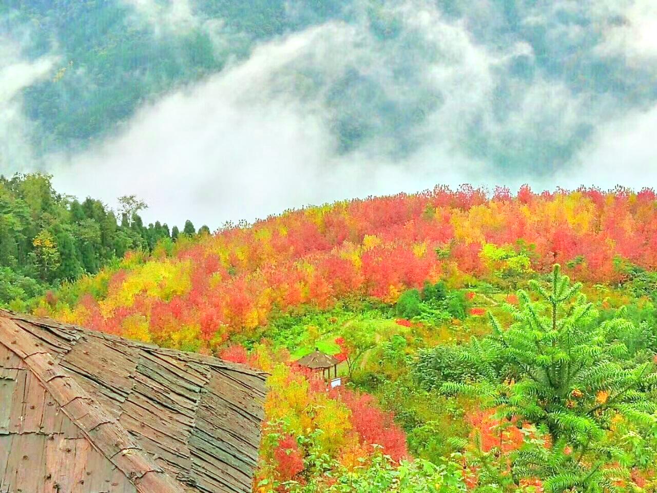 川西红枫岭门票,川西红枫岭门票价格,川西红枫岭门票团购【携程门票】