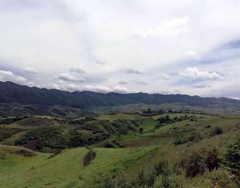 2019贵清山旅游风景区门票,定西贵清山旅游风穷游攻略窝蚂蜂发表图片
