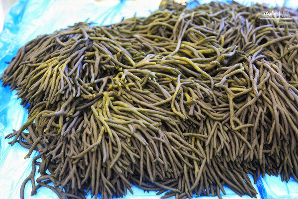 市场有各种各样奇怪的东西,比如这个就是海草啦,以前真的从来没见过呢