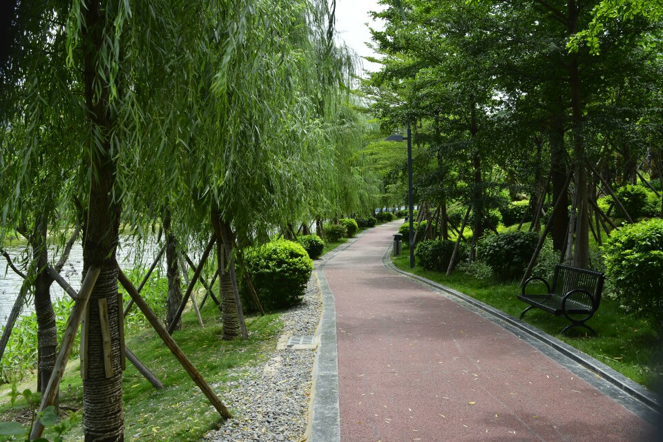 竹湖园公园旅游景点攻略图