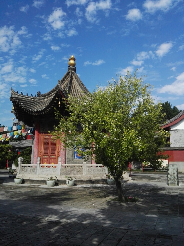 【携程攻略】西安广仁寺景点,今天下午独自去了广仁寺,感受西安城里面