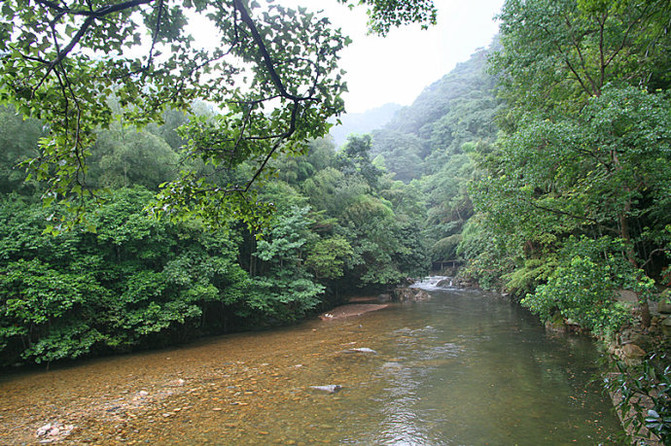 自驾车游好介绍:安徽祁门牯牛降风景区品红茶宴