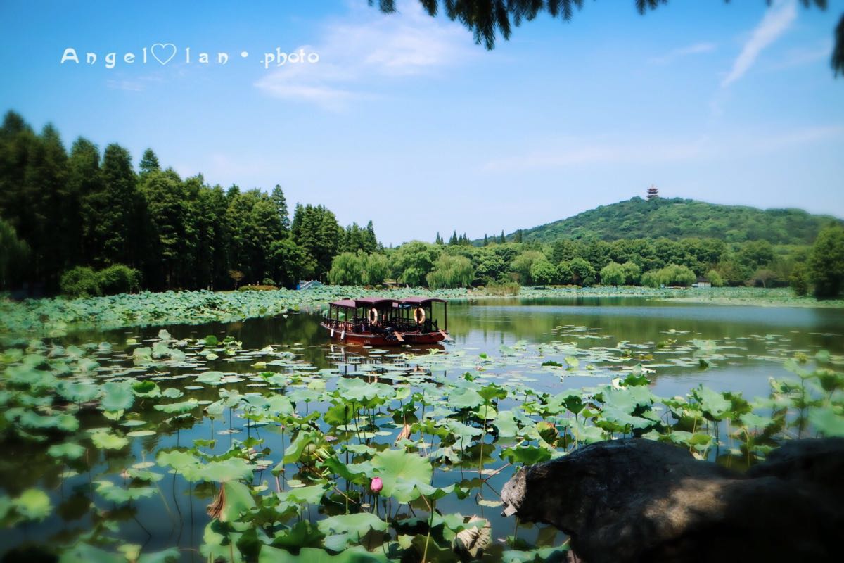 藕花深处旅游景点攻略图