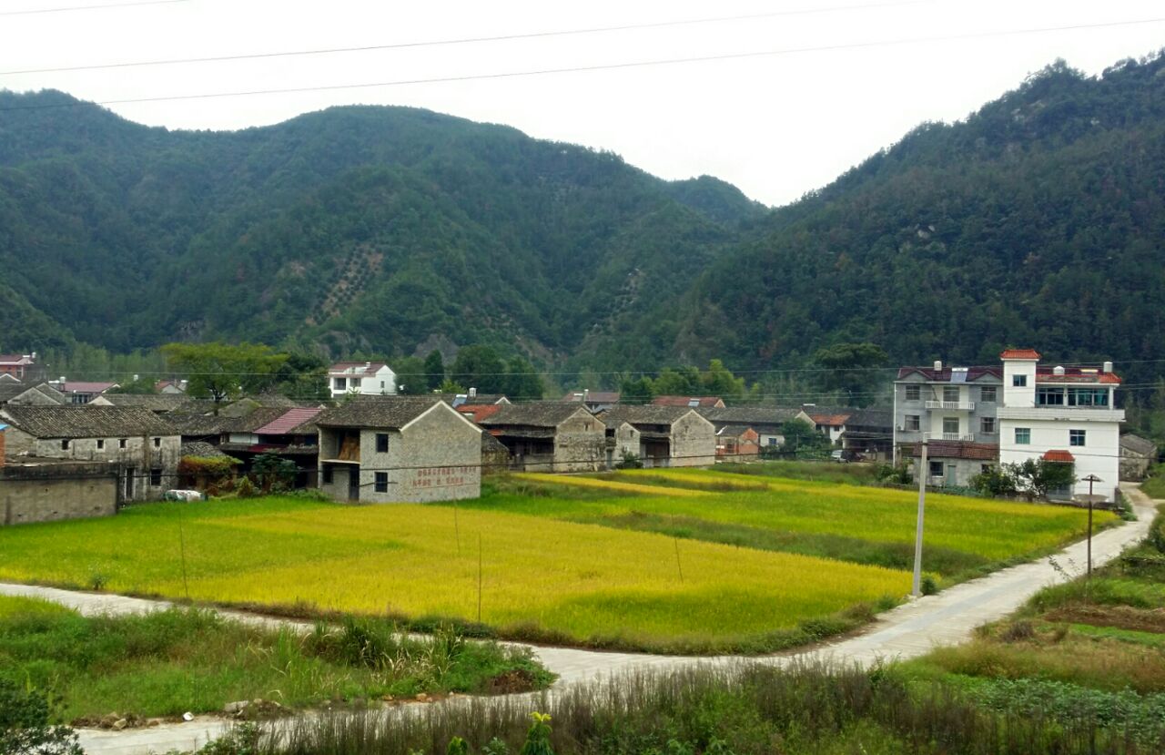 后岸村