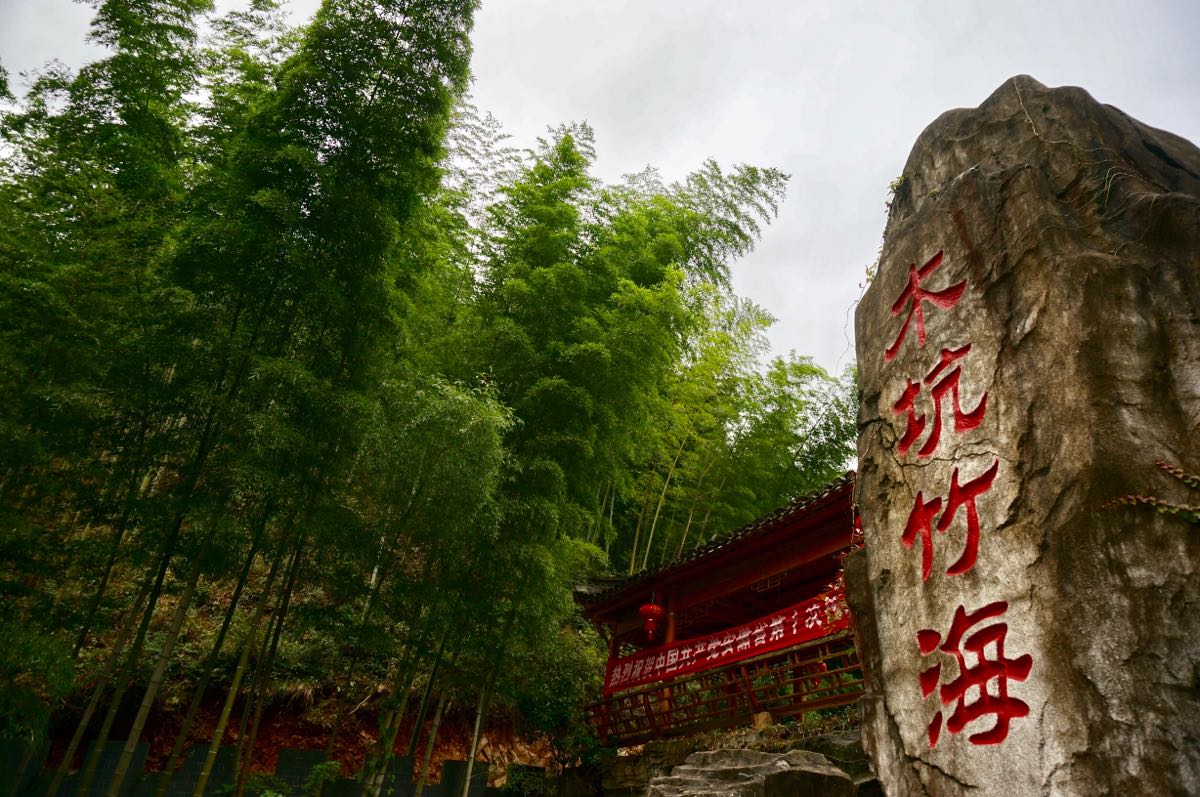 【携程攻略】黟县木坑竹海景点,前一日上黄山,双腿酸痛,实在无力往山