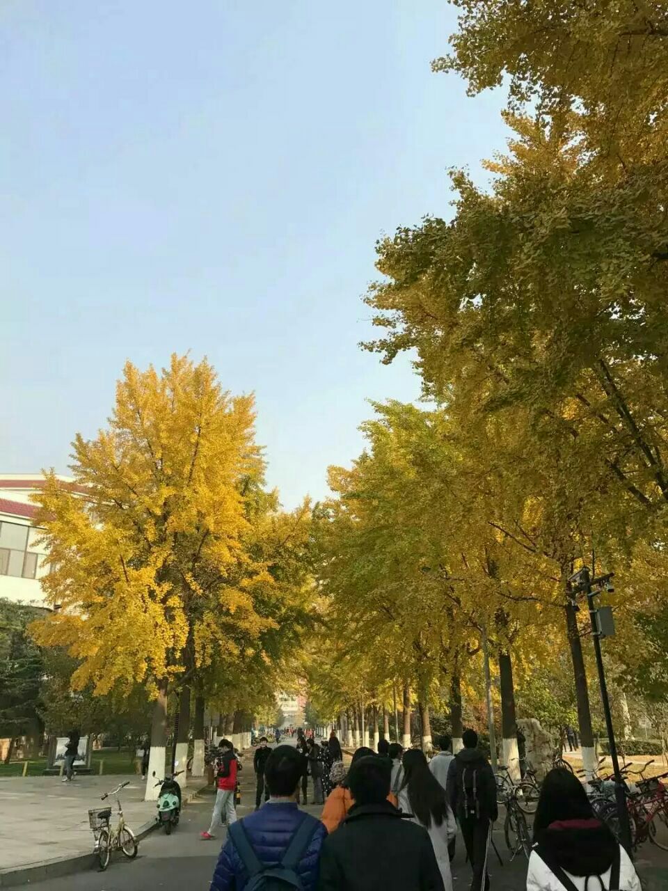 北京交通大学