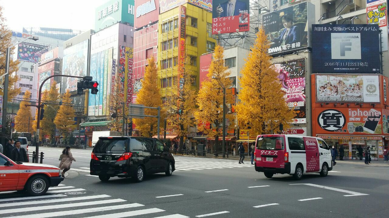 秋叶原