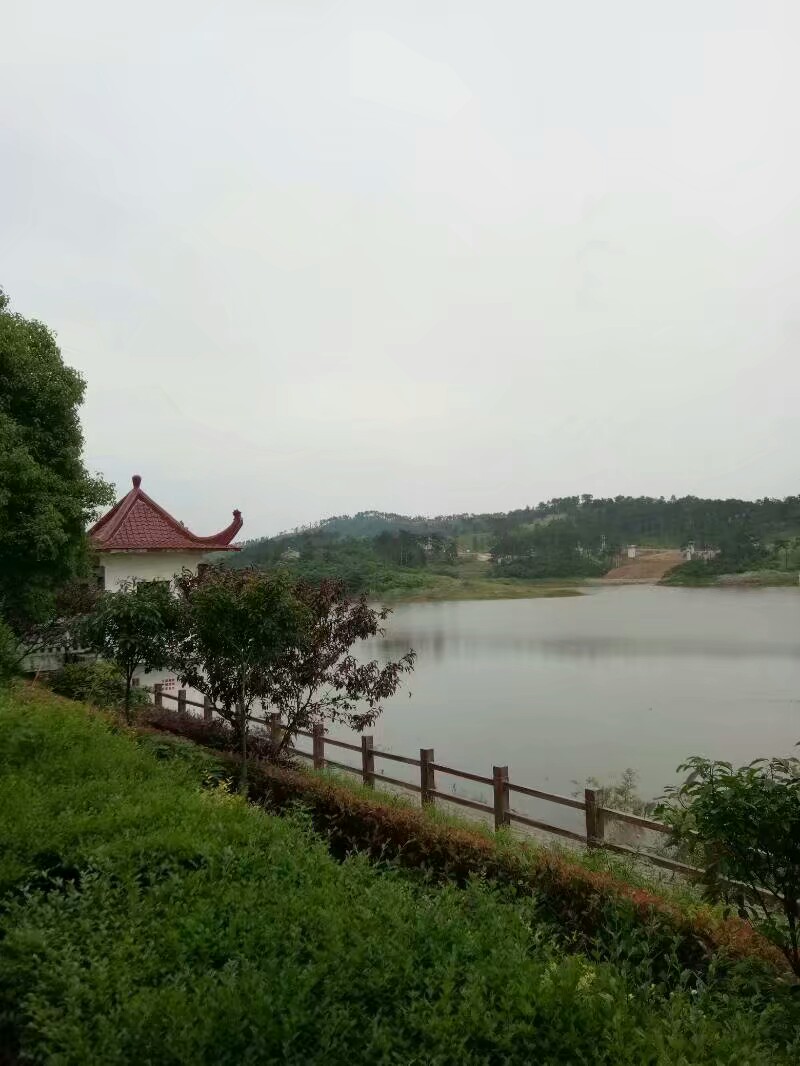 襄阳黄家湾好玩吗,襄阳黄家湾景点怎么样_点评_评价