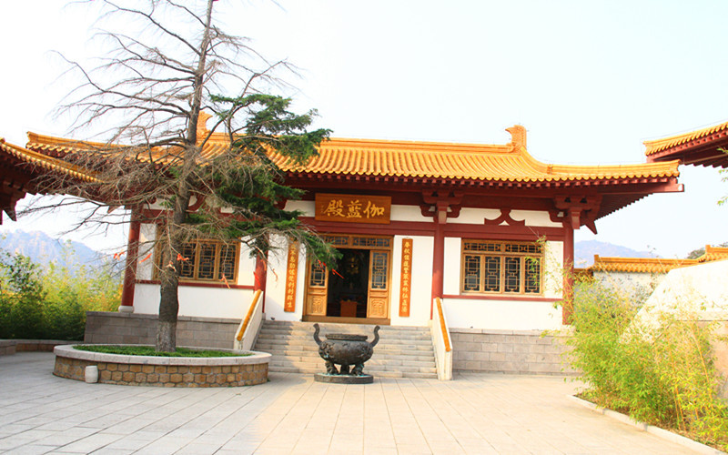 那一年,游走山东,海阳招虎山森林公园自驾自由行【成道禅祠,龙门,云表