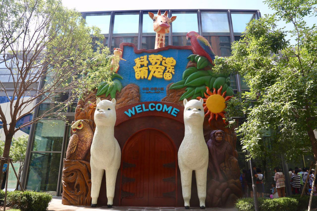 商场里的超大的萌宠乐园,寓教娱乐还赠送小动物,快带孩子一起来玩