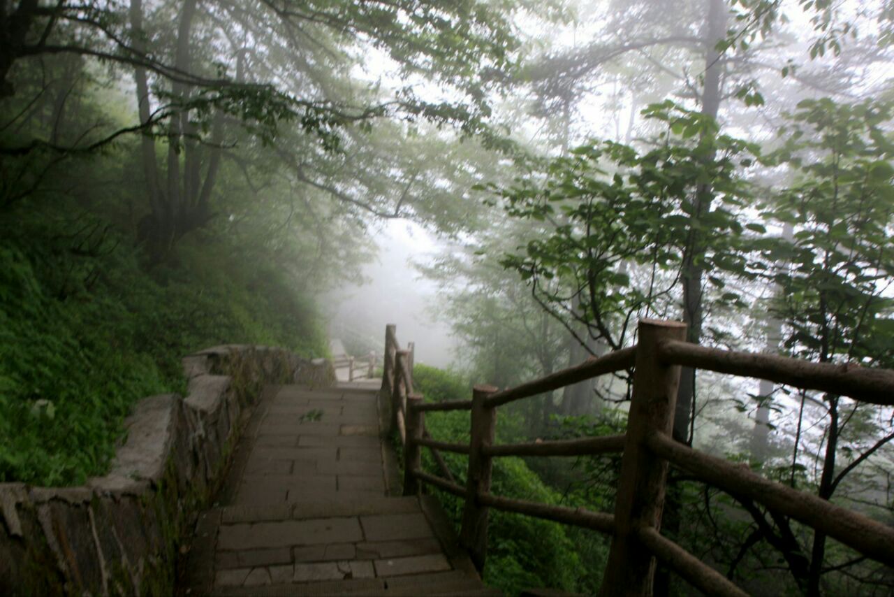 雷洞坪