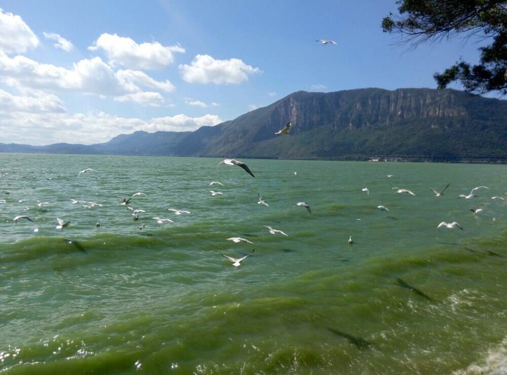 2019滇池_旅游攻略_门票_地址_游记点评,昆明旅游景点