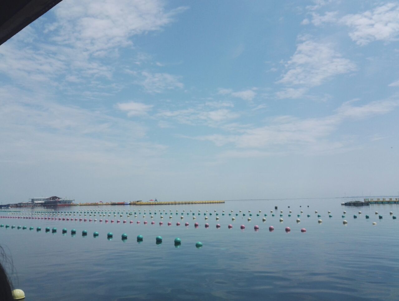 桑沟湾海洋牧场