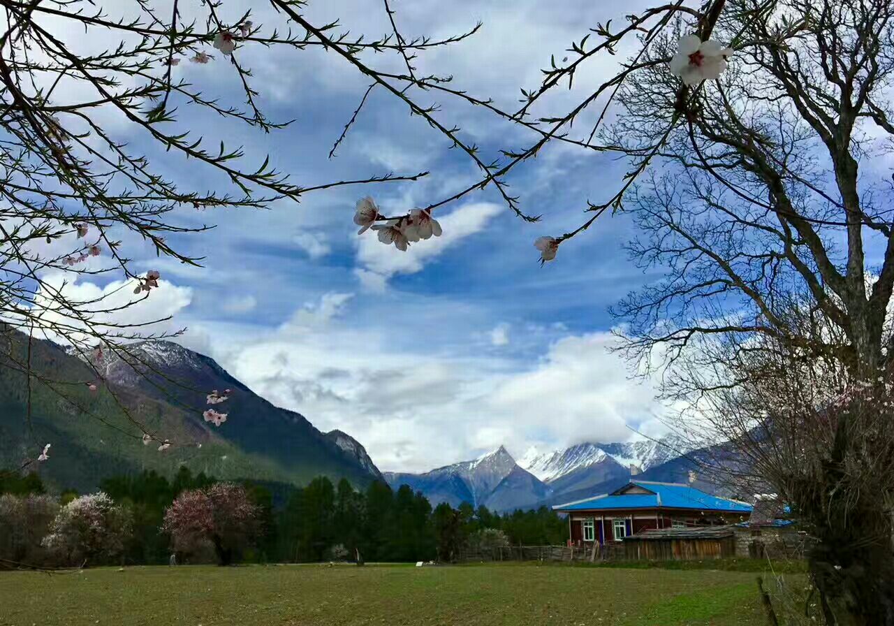 【携程攻略】巴宜区嘎拉桃花村景点,在桃花盛开的季节,到波密赏花