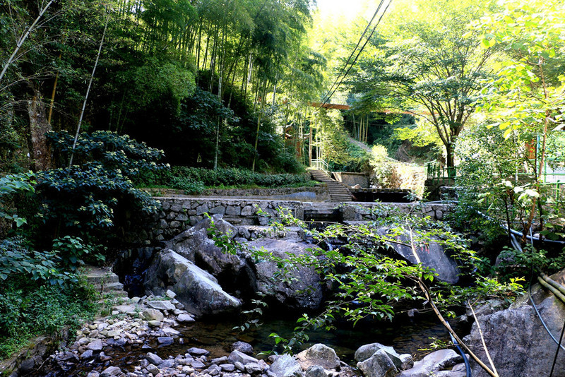 杭州天目山二日游,禅寺,冰川,森林,竹海,太湖源