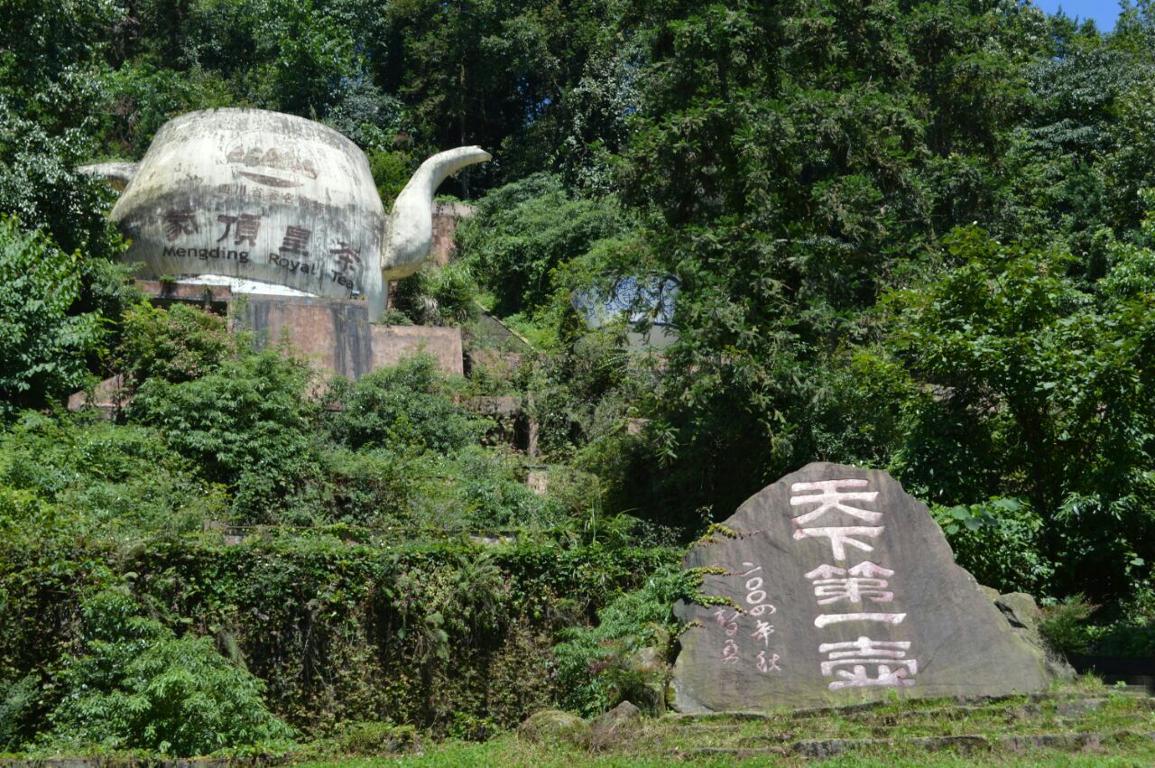 【携程攻略】雅安蒙顶山景点,1,蒙顶山,一个很有茶的