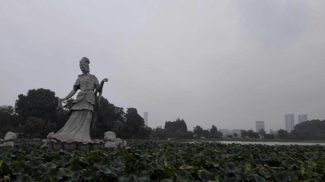 南京莲花广场攻略,南京莲花广场门票/游玩攻略/地址