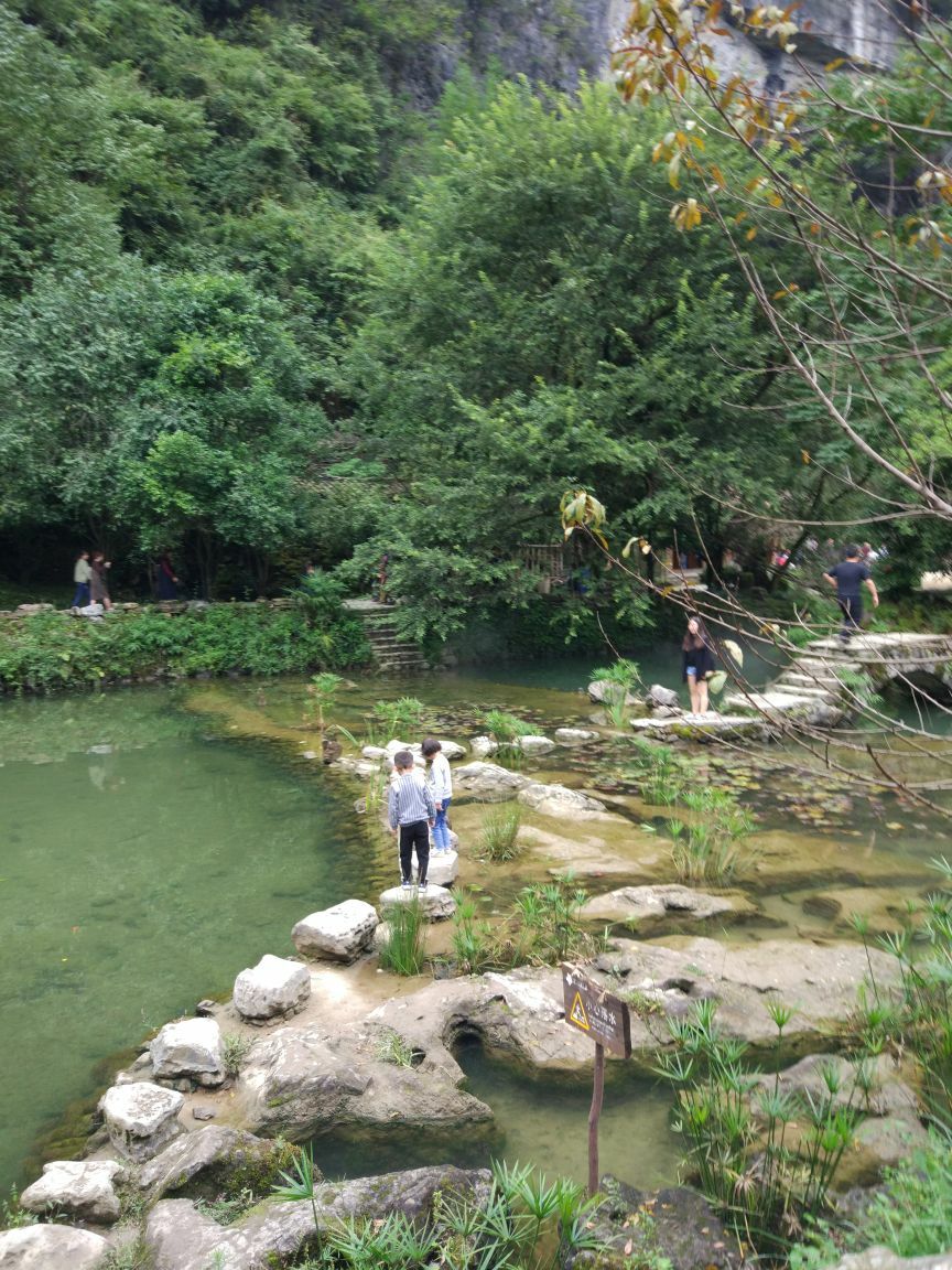 酉阳桃花源旅游景点攻略图