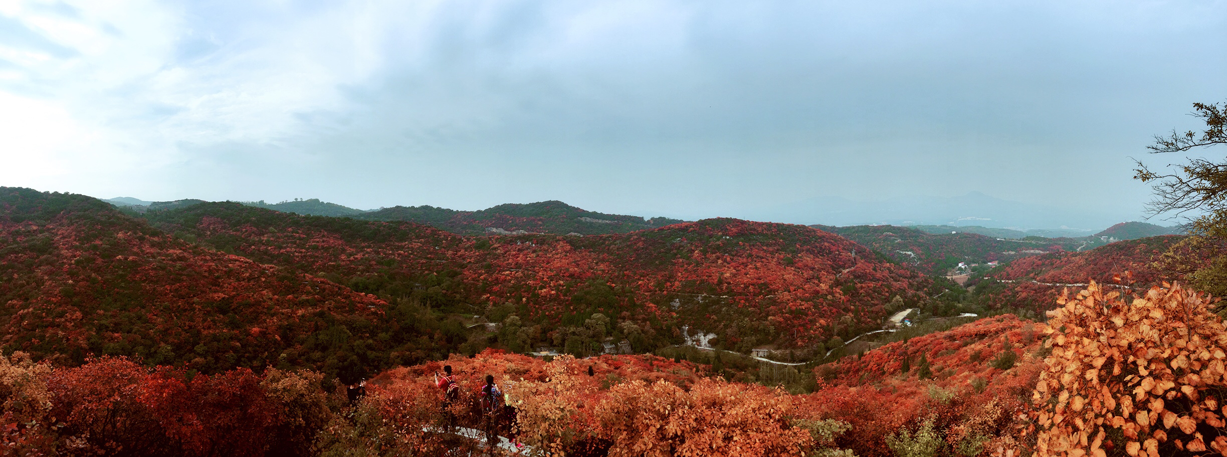 竹林长寿山