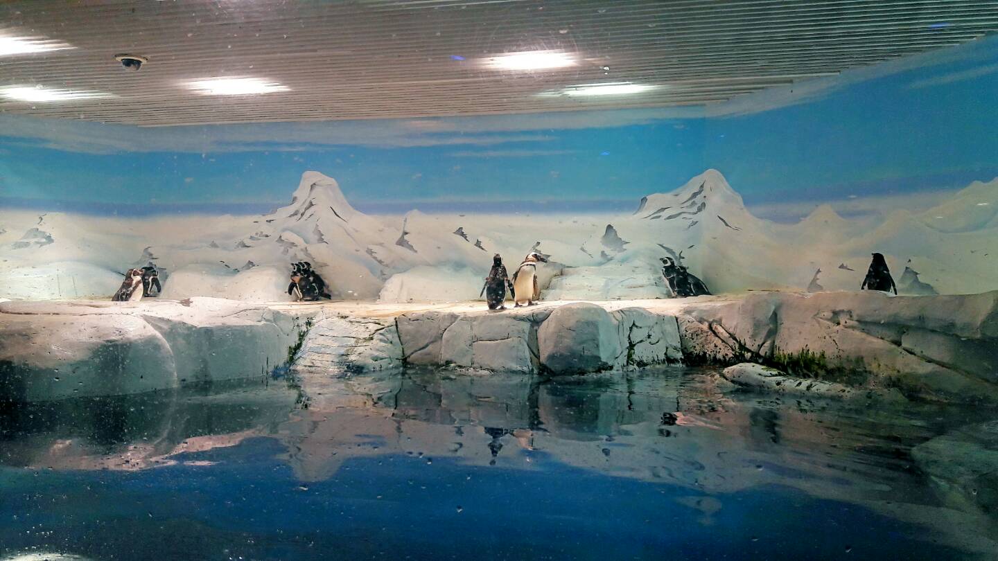 上海海洋水族馆