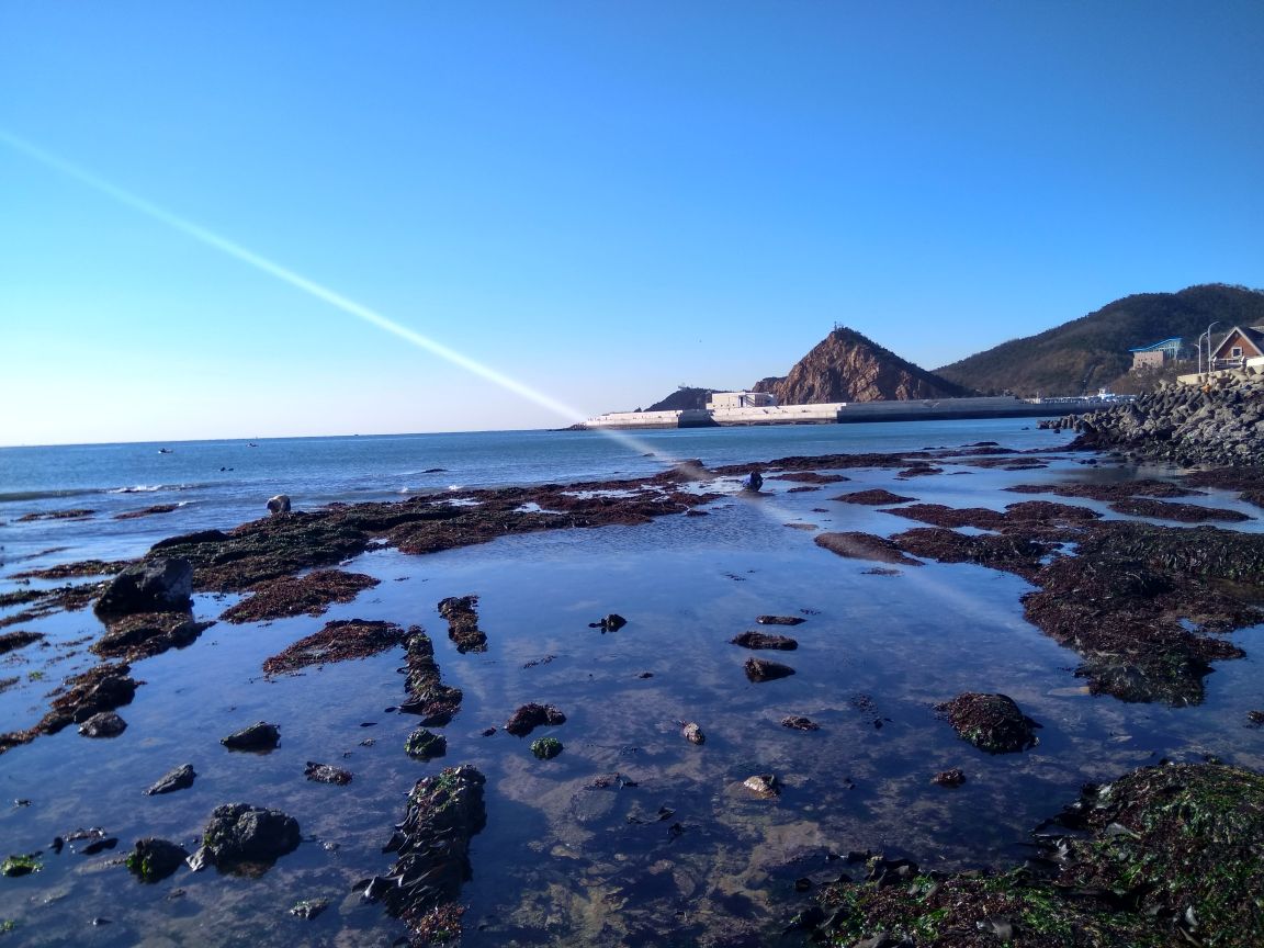 大连滨海路好玩吗,大连滨海路景点怎么样_点评_评价