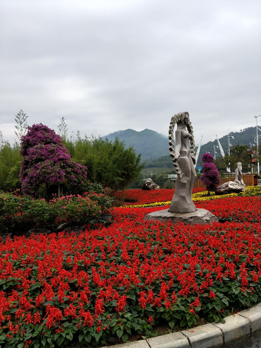 漳浦漳州东南花都好玩吗,漳浦漳州东南花都景点怎么样