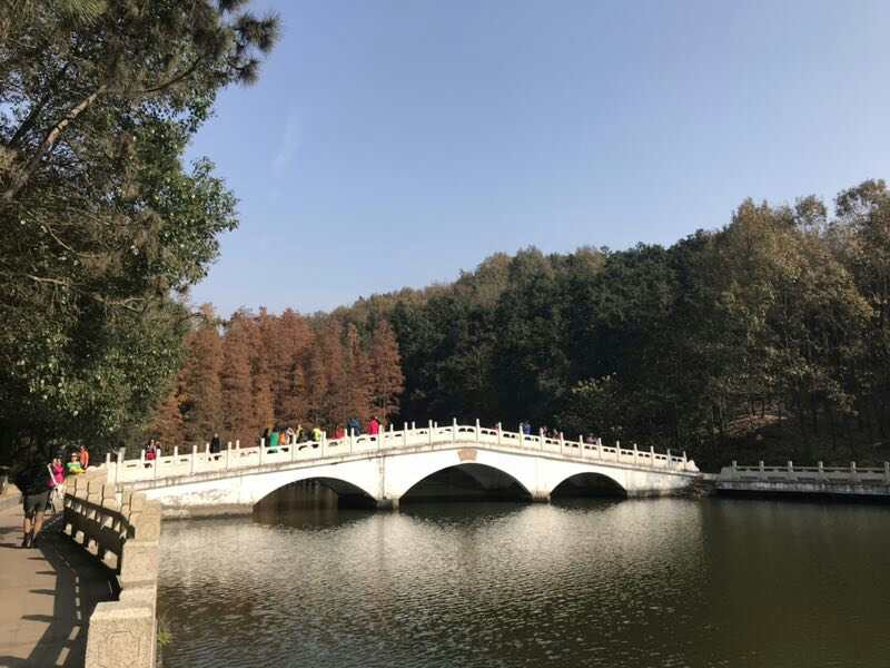 【携程攻略】武汉九真山风景区景点,很好的一个呼吸新鲜空气的地方