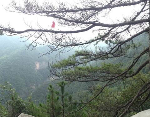 2019红河谷森林公园门票,北京红河谷森林公园洛阳-眉县自驾旅游攻略图片