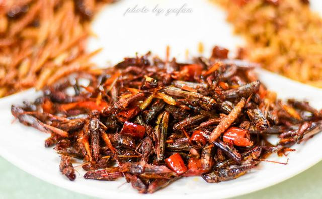 蜘蛛,蛇,蝎子全都烤着吃,你挑战过这些疯狂的美食吗?