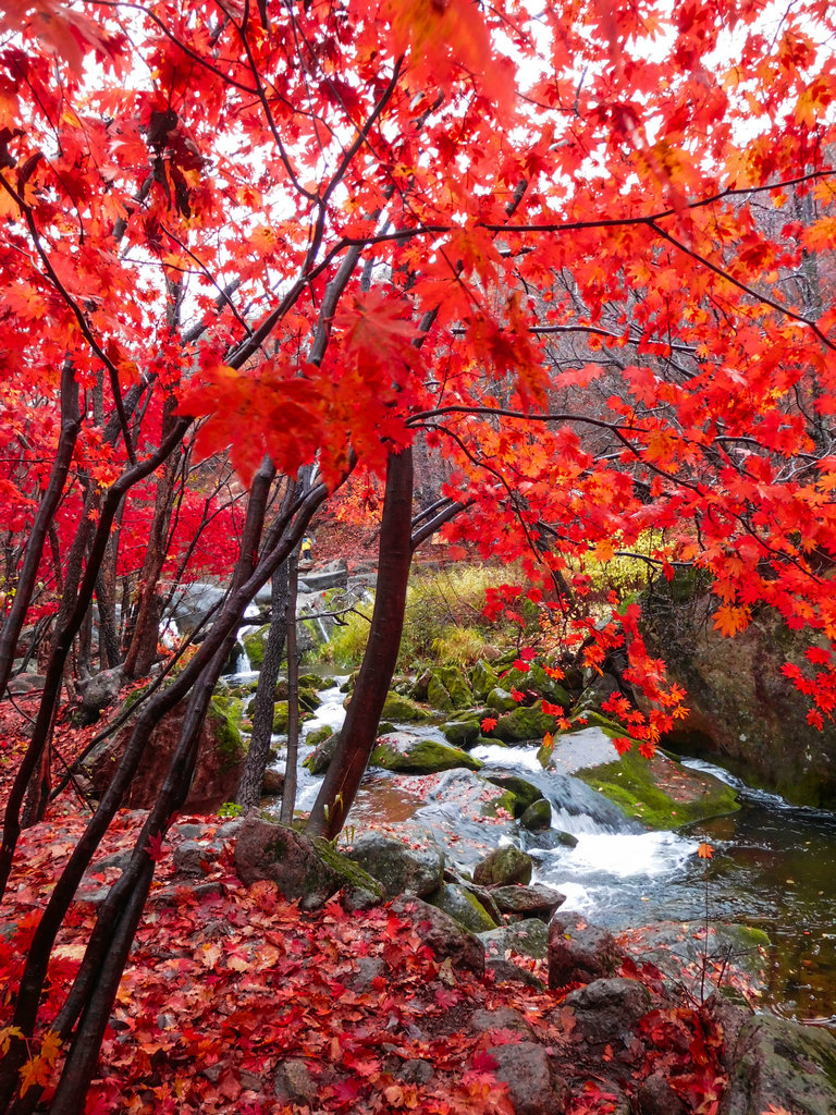 本溪老边沟风景区