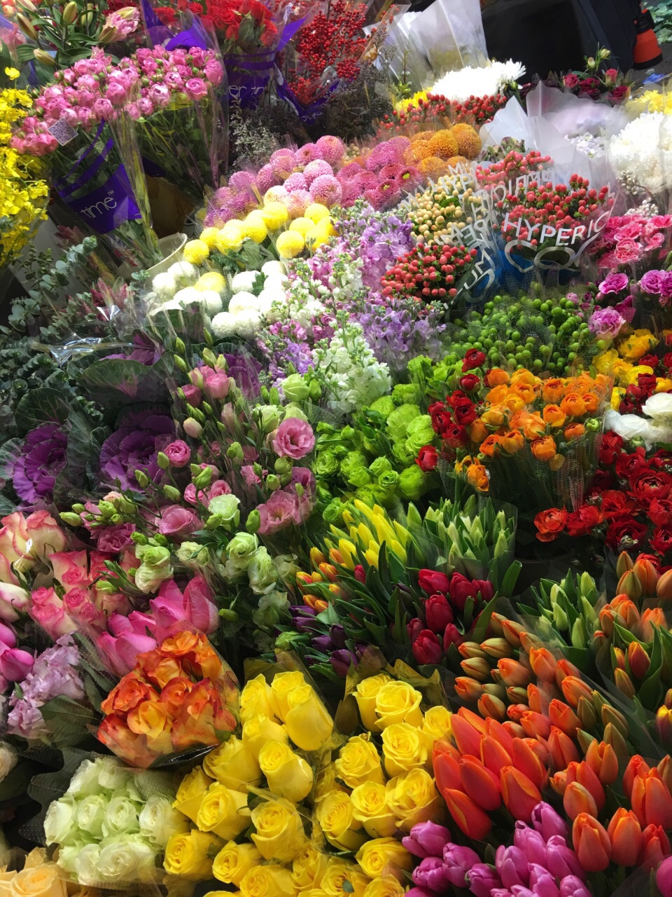 上海虹桥花卉市场怎么样/如何去,虹桥花卉市场购物好不好_点评_评价