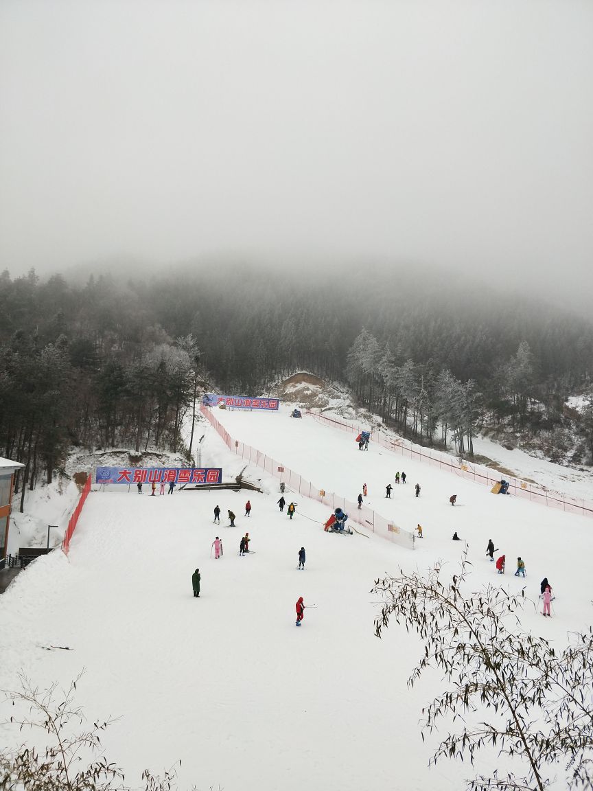 岳西大别山滑雪乐园好玩吗,岳西大别山滑雪乐园景点怎么样_点评_评价