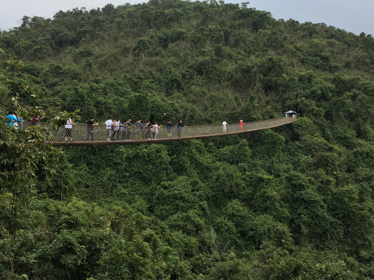 三亚亚龙湾热带天堂森林公园 亚龙湾一日游【森林氧吧 雨林呼吸 定点