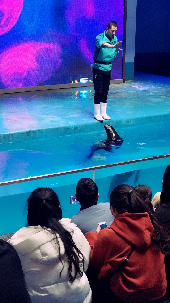 兰州极地海洋世界旅游景点攻略图