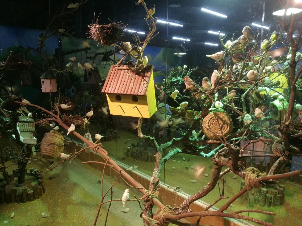 石家庄萌宠奇缘好玩吗,石家庄萌宠奇缘景点怎么样