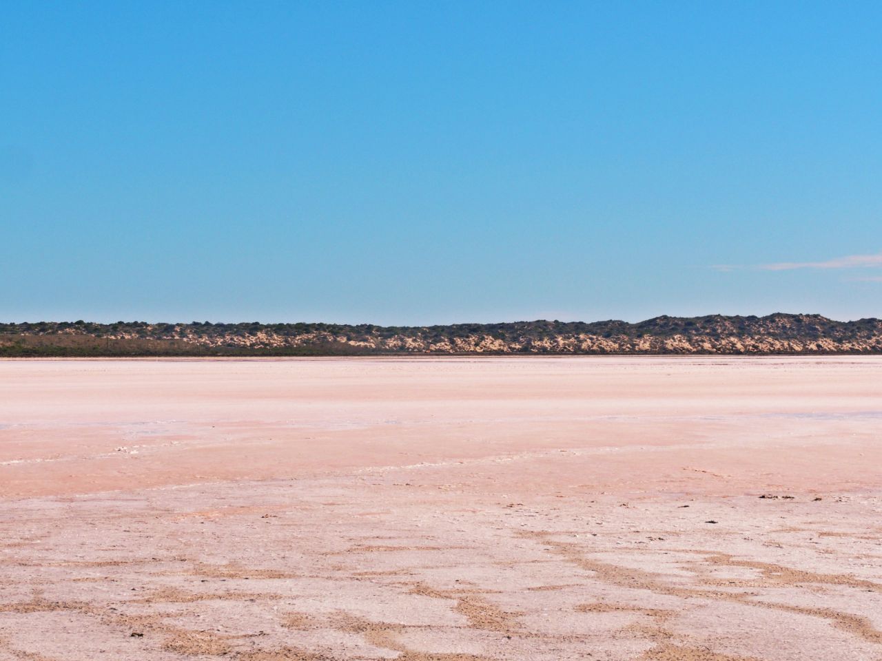 赫特泻湖hutt lagoon