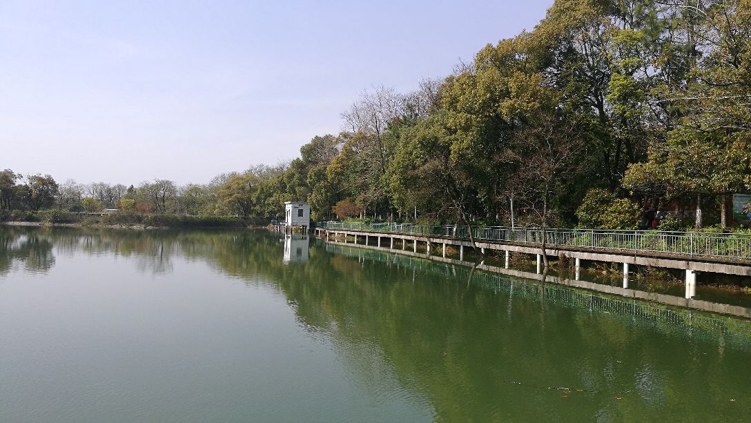游览步道